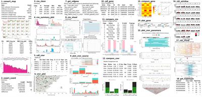 HandyCNV: Standardized Summary, Annotation, Comparison, and Visualization of Copy Number Variant, Copy Number Variation Region, and Runs of Homozygosity